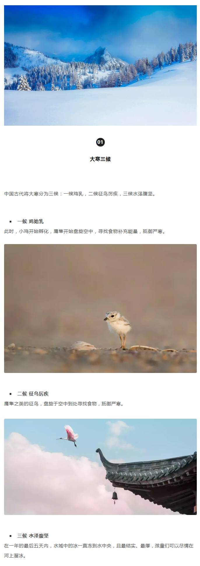 2022年（第5期）：大寒：愿您安暖幸福，歲歲平安_02